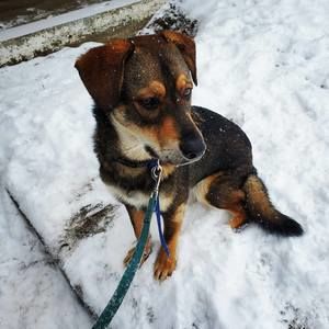 Meet your Posher, Audrey